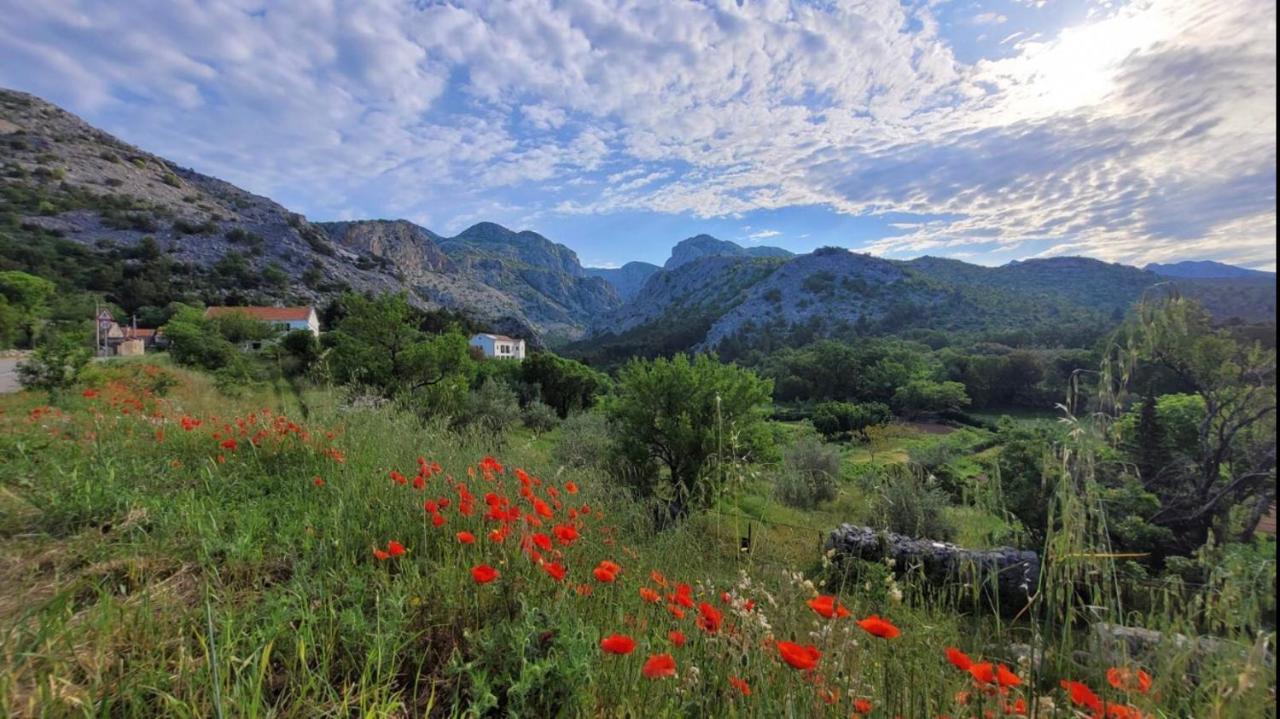 Apartments Paklenica Starigrad Paklenica Ngoại thất bức ảnh